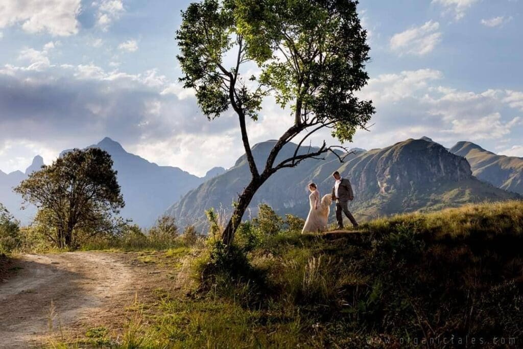 Newlyweds walking in beautiful mountain area
