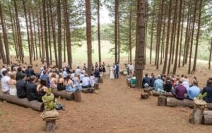 Bellwood Forest Ceremony