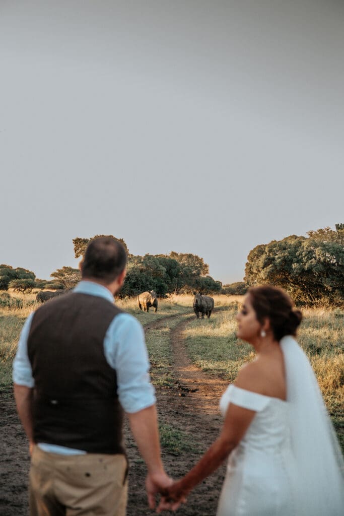 Bride and groom shoot in game reserve with rhinos in background