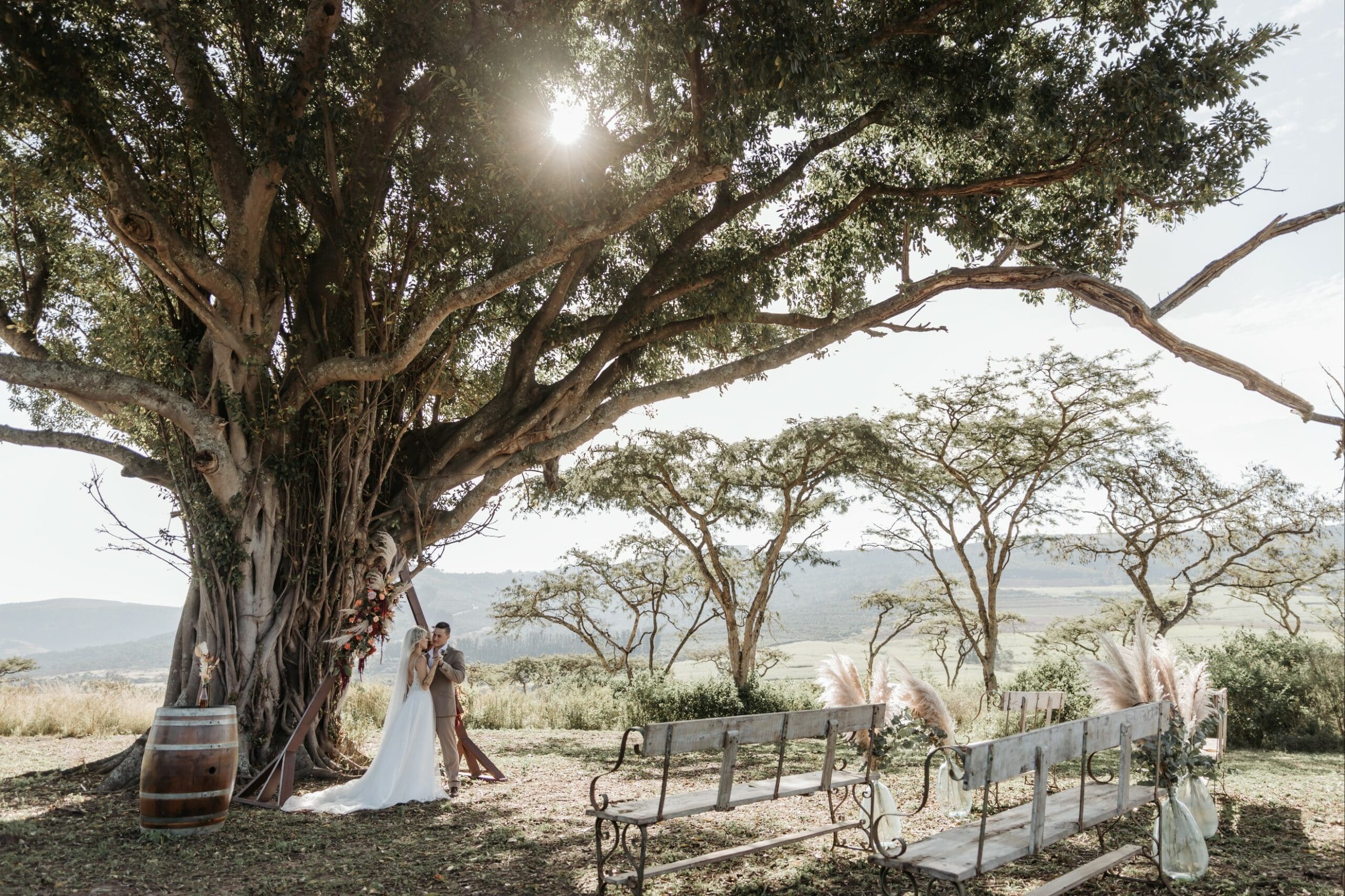 Outdoor wedding ceremony beneath giant fig tree