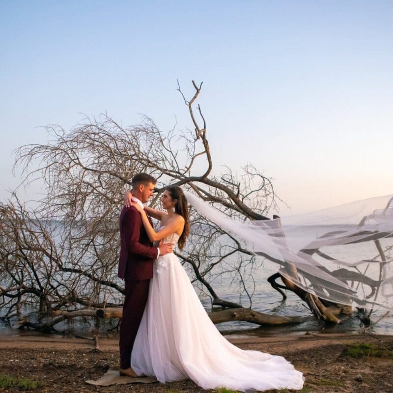 Bride and groom standing in front of dead tree and lake