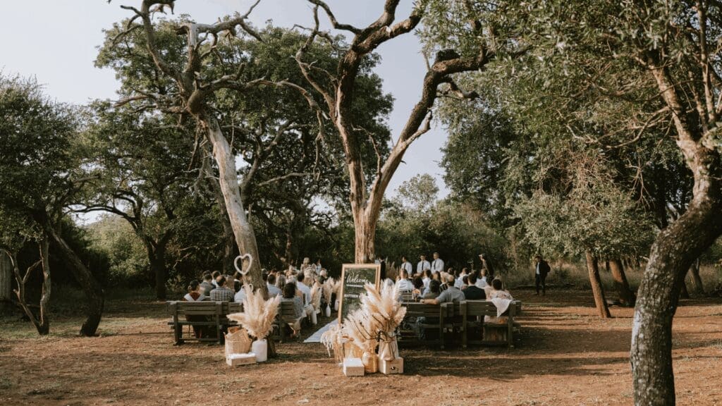 Outdoor wedding ceremony in game reserve