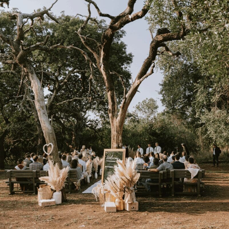 Outdoor wedding ceremony in game reserve