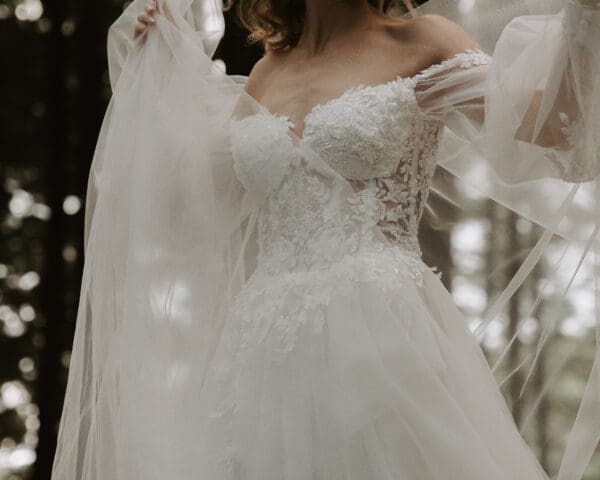 Landscape image showing top half of bridal gown with exquisite details