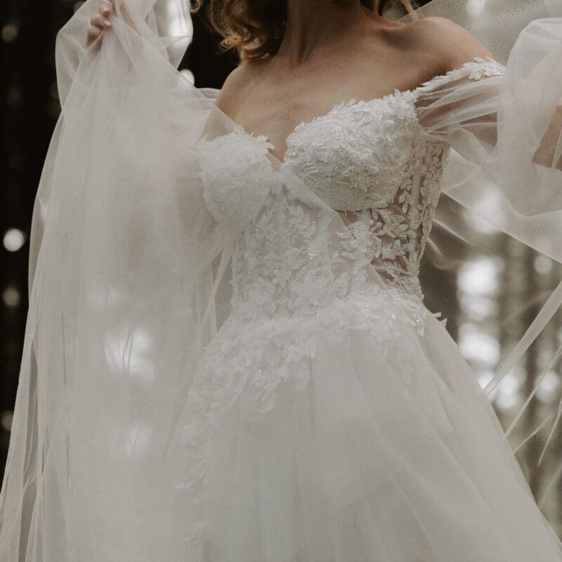 Landscape image showing top half of bridal gown with exquisite details